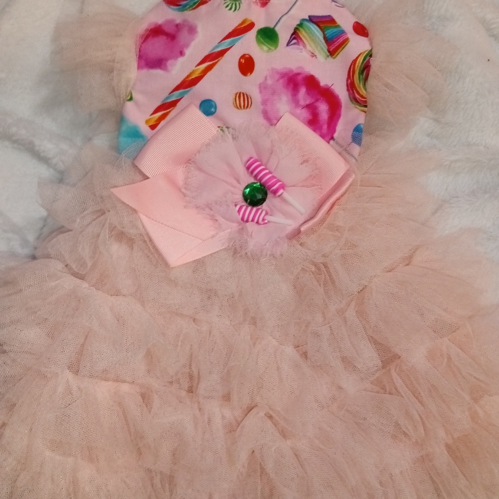 Custom Cotton Candy Harness Outfit for XSmall Small Dog Brand New
